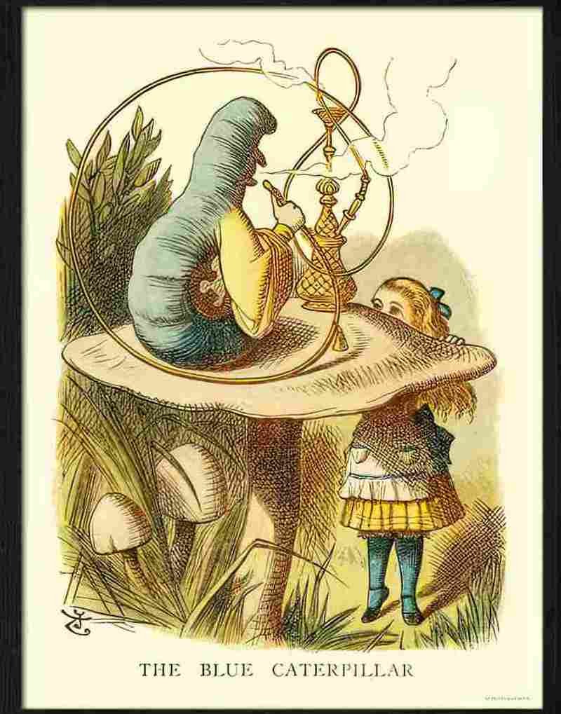 0 alice in wonderland blue caterpillar 2 Advert A4 Photo Print