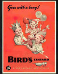 0 birds custard childrens party advert 1940s Advert A4 Photo Print