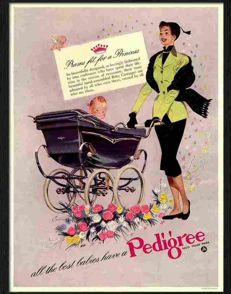 0 pedigree pram Advert A4 Photo Print