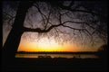 001003 Tree Framing Sunset Over Bay A4 Photo Print
