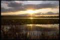 001013 Sun Setting Through Dune Grass A4 Photo Print