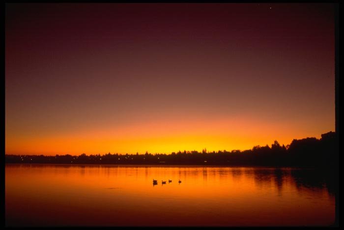 001021 Sunrise Over Red Lake With Ducks A4 Photo Print