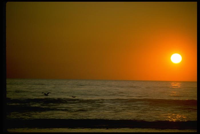 001037 Hazy Orange Sun Over Sea With Birds A4 Photo Print