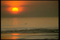 001038 Sun In Red Sky Over Surf With Birds A4 Photo Print