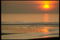 001039 Big Yellow Sun, Birds On Shore A4 Photo Print