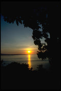 001054 Sunset Over Bay Framed By Tree A4 Photo Print