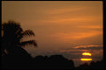 001062 Sun Setting Behind Palms And Clouds A4 Photo Print