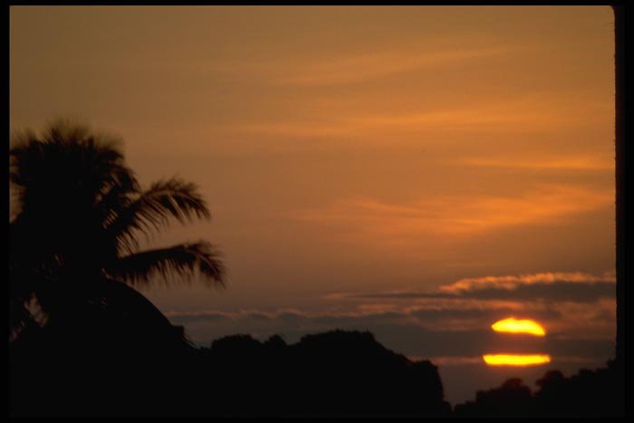 001062 Sun Setting Behind Palms And Clouds A4 Photo Print