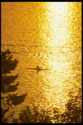 001094 Single Rower On Lake Under Bright Yellow Sunset A4 Photo Print