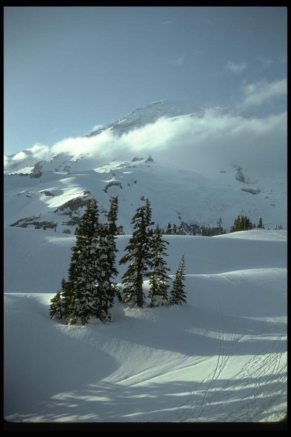 002008 Ski Tracks On Mountain A4 Photo Print