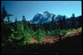 002015 Mountain Over Red And Yellow Foliage A4 Photo Print