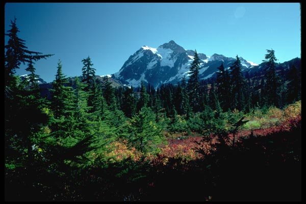 002015 Mountain Over Red And Yellow Foliage A4 Photo Print