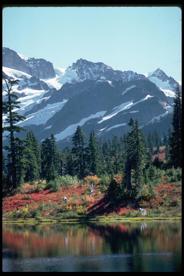 002016 Ice Fields Behind Reflected Red Foliage A4 Photo Print