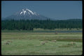 002024 Field Of Hay Bales, Mountain In Summer A4 Photo Print