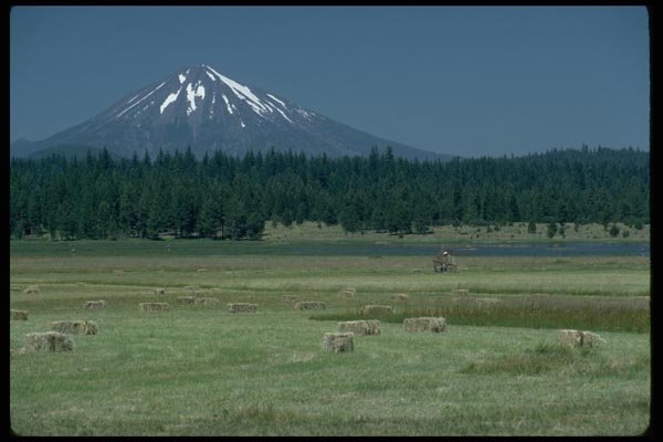 002024 Field Of Hay Bales, Mountain In Summer A4 Photo Print