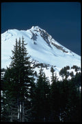 002032 Trees, Snowy Peak And Sky A4 Photo Print