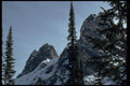 002041 Tall Trees And Peaks A4 Photo Print