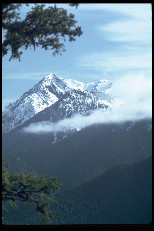 002044 Forested Mountains A4 Photo Print