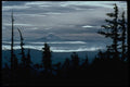 002045 Tree Silhouettes With Mountain Vista A4 Photo Print