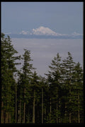 002047 Clouds Between Trees And Mountain A4 Photo Print