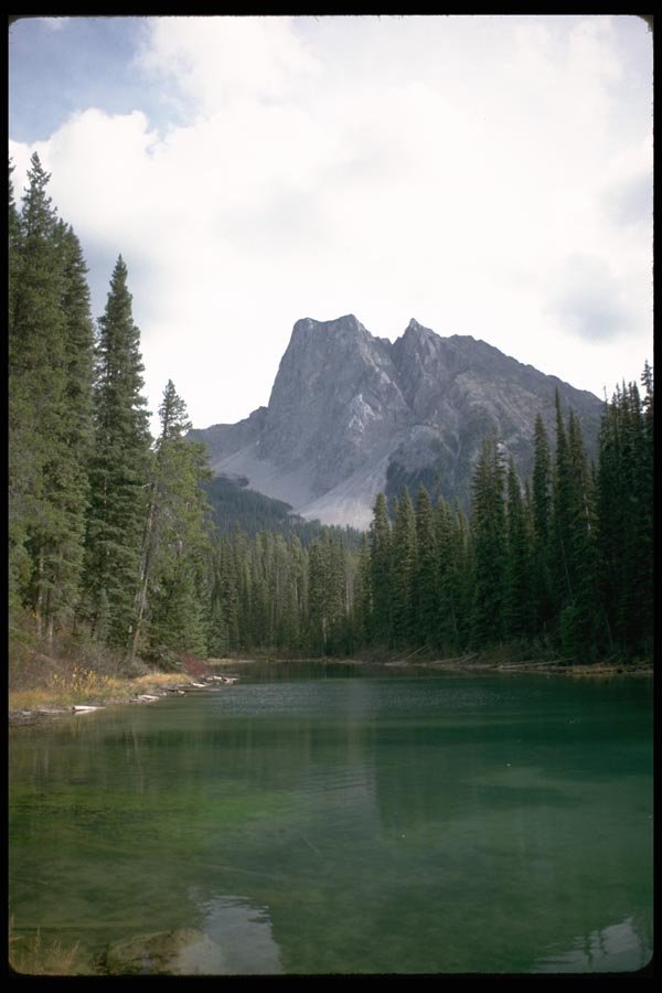 002051 Green Lake, Trees And Mountain Peak A4 Photo Print