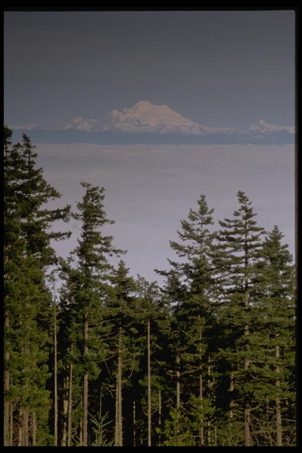002058 Clouds Between Mountains And Trees A4 Photo Print