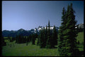 002059 Alpine Ridge With Groups Of Trees A4 Photo Print