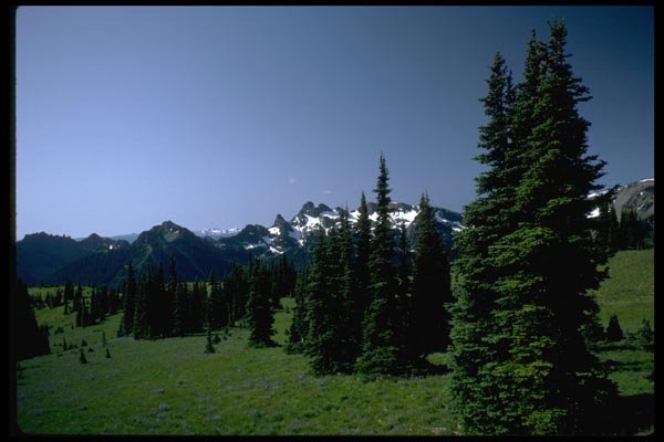 002059 Alpine Ridge With Groups Of Trees A4 Photo Print