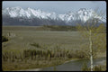 002065 Mountains Behind Plateau, Birch Tree A4 Photo Print