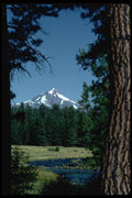 002081 Peak Behind Fenced Meadow And Trees A4 Photo Print