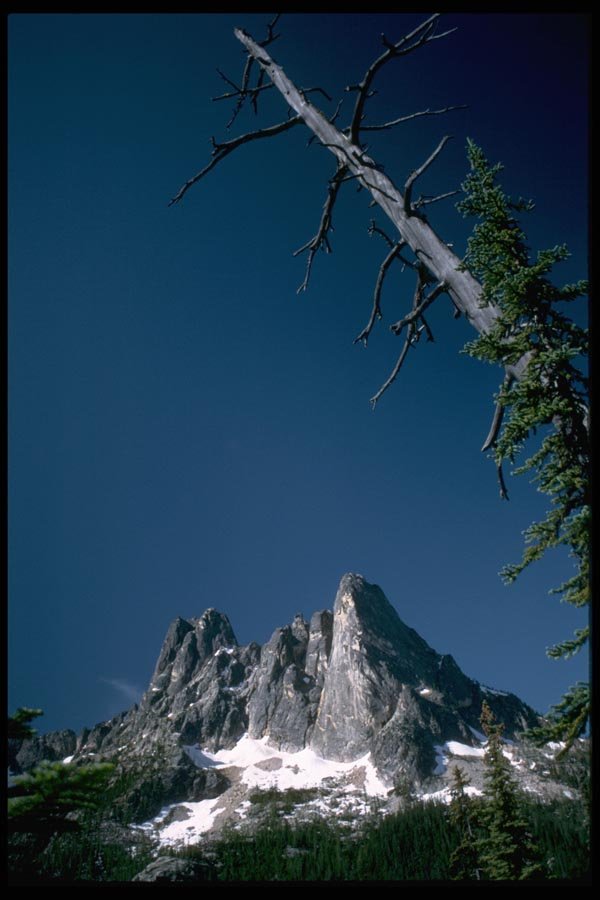 002088 Rocky Peak Framed By Dead Snag A4 Photo Print