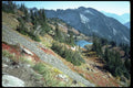 002089 Ice Fields Behind Reflected Red Foliage A4 Photo Print