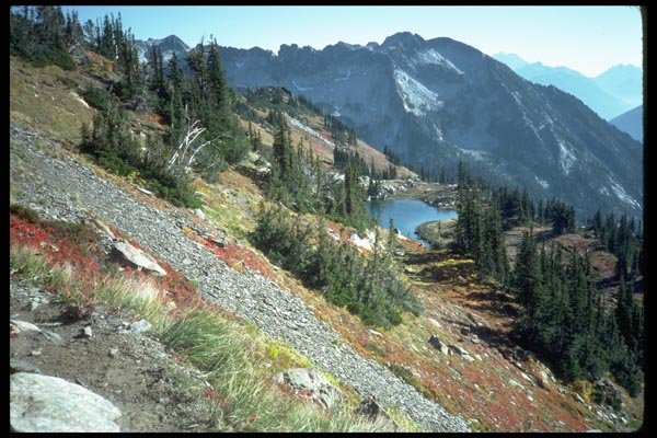 002089 Ice Fields Behind Reflected Red Foliage A4 Photo Print