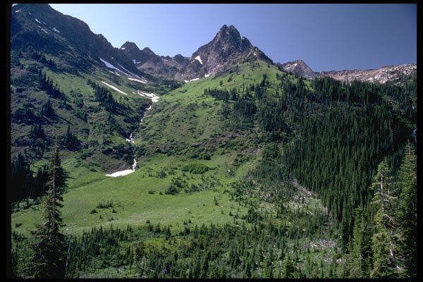 002090 Green Alpine Hillside A4 Photo Print