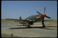 003004 Green P51 Mustang Taxiing A4 Photo Print