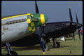 003007 P51 Mustang Noses A4 Photo Print