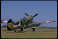 003009 P40 Curtis, Camouflage, Rear View A4 Photo Print
