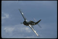003051 Wildcat, Banking Left A4 Photo Print