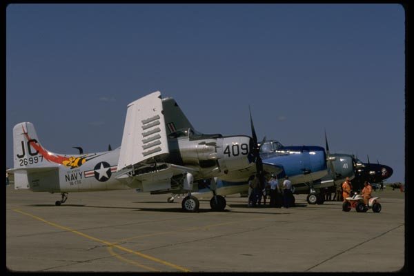 003054 Douglas AD 1 Skyraider, In Row A4 Photo Print