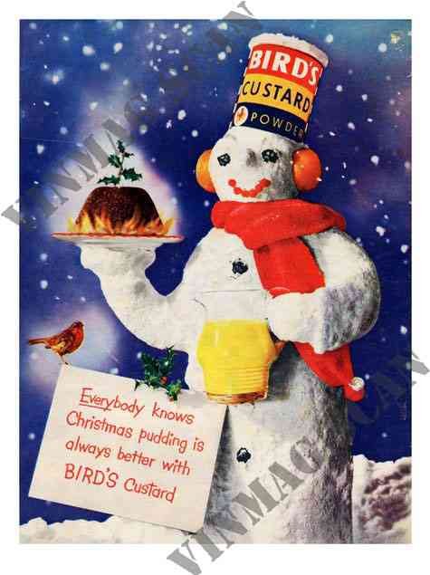 004 Birds Custard Christmas 1950S advert A4 Photo Print