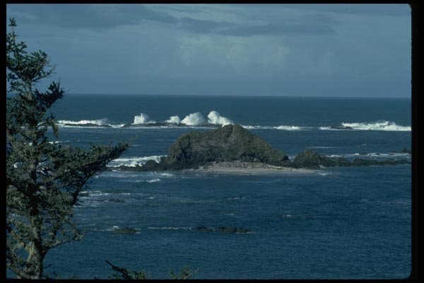 005004 Waves Crashing On Rocky Reefs A4 Photo Print