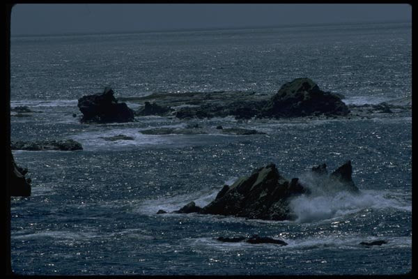 005009 Low Rocks In Sea A4 Photo Print