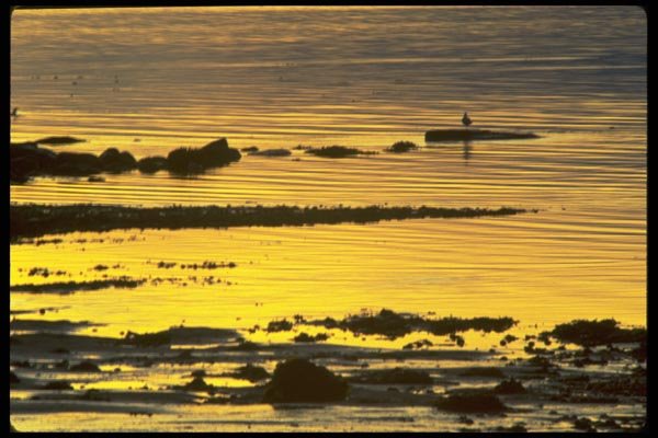 005019 Horizontal Shorelines At Dusk A4 Photo Print