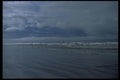005023 Seagulls On Cloudy Shore A4 Photo Print
