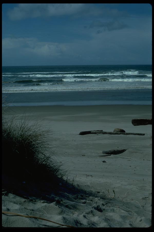 005025 Calm Surf From Dune A4 Photo Print