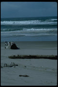 005026 Debris On Shore A4 Photo Print