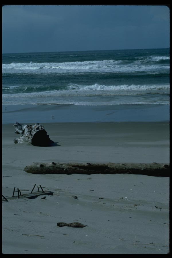 005026 Debris On Shore A4 Photo Print