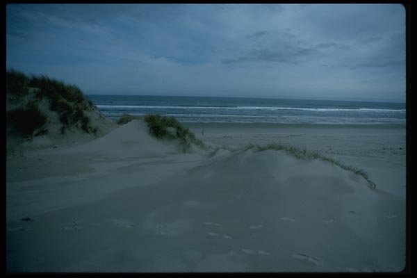 005028 Calm Shore Over Footprinted Dunes A4 Photo Print