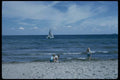 005030 Sailboat, Children Playing On Shore A4 Photo Print