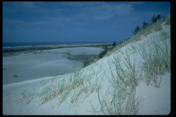 005031 Sloped Sand Dunes A4 Photo Print